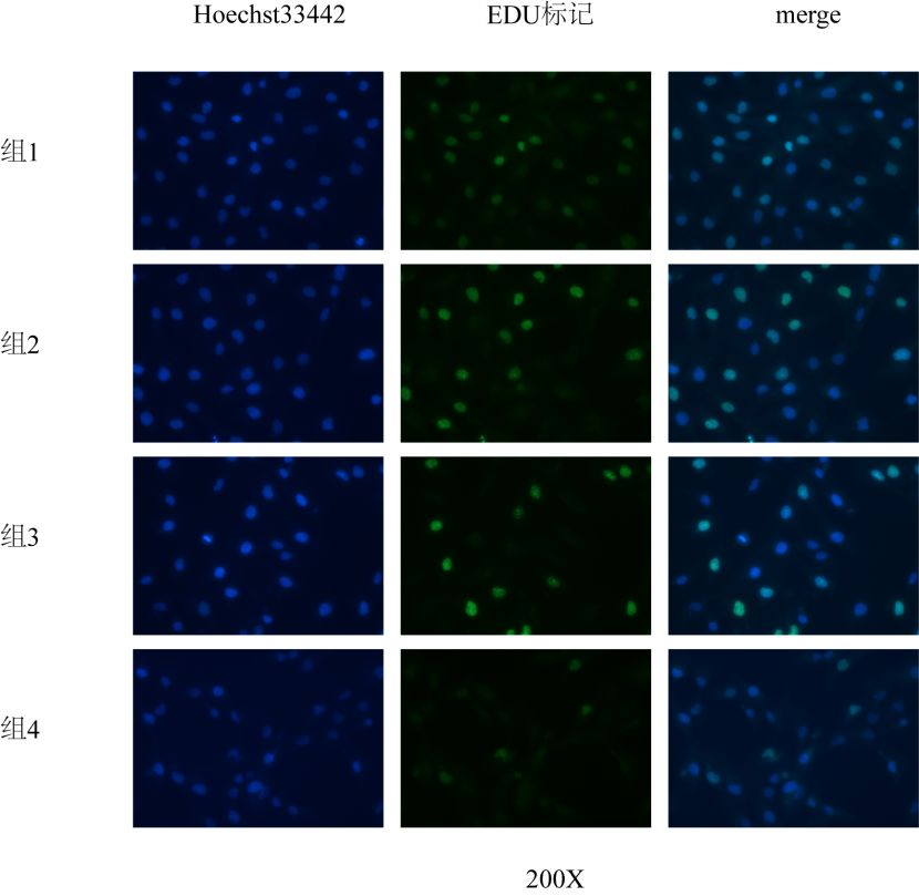 1631757812506965.png 图片4.png